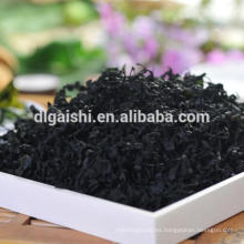 Exportar kosher verde oscuro grado ABC wakame SML tamaño algas secas